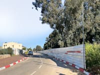 קדימה צורן / צילום: יח''צ