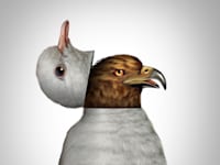 מציאות הפוכה / צילום: Shutterstock