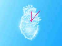 אילוסטרציה: Shutterstock, אנימציה: טלי בוגדנובסקי