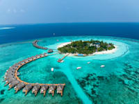 האיים המלדיביים / צילום: Shutterstock