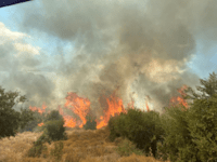 השריפות בגליל התחתון בעקבות המטח האחרון / צילום: כבאות והצלה צפון