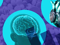 עיצוב: טלי בוגדנובסקי, חומרים: Shutterstock