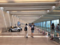 נתב''ג. נראה שגם ב-2024 ישנה מגמת עזיבה משמעותית, לפחות בהייטק / צילום: טלי בוגדנובסקי