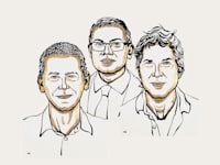 דיוויד בייקר, דמיס הסביס וג'ון ג'מפר, זוכי פרס נובל בכימיה לשנת 2024 / צילום: Ill. Niklas Elmehed © Nobel Prize Outreach