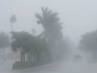 הוריקן מילטון בפלורידה / צילום: Associated Press, Marta Lavandier