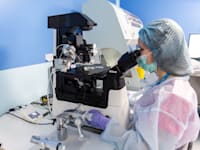 מעבדת הפריה חוץ־גופית בקייב. רוב הביציות בשוק הישראלי הגיעו מאוקראינה, עד המלחמה / צילום: Reuters, Dominika Zarzycka