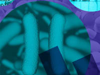 חדשות הביומד / עיבוד: טלי בוגדנובסקי, חומרים: Shutterstock