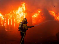 לוחם אש מנסה לכבות שריפה שמתפשטת במערב לוס אנג'לס בגלל רוחות עזות / צילום: Reuters, Ringo Chiu