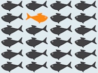 המדריך למשקיע ששוחה נגד הזרם / צילום: Shutterstock