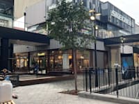 ביג פאשן גלילות / צילום: דרור מרמור