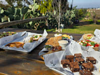 מאפים וסלטים בגאולה בר / צילום: אורנה בן חיים