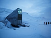 הכניסה לכספת המזון בסבאלבארד, הקוטב הצפוני / צילום: Reuters, reuters