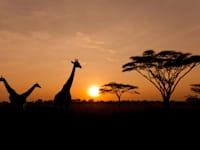 צילום: באדיבות ''עולם אחר''