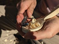 צילום: דרור כרם ונינה זיו