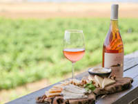 יקב שדות / צילום: שאדי מקאלדה