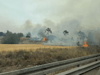 השרפה ליד מושב תרום שבאזור בית שמש / צילום: כב''ה ירושלים