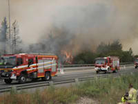 כבאיות בדרכן למוקדי השריפה בהרי ירושלים / צילום: ap, Mahmoud Illean