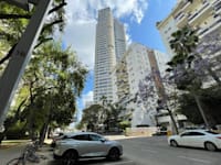 מגדל בראשית / צילום: נוי מאיה