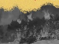 השריפות באזור הרי ירושלים / צילום: עובדי ויערני קק״ל