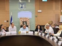 דיון בנושא נתוני צפייה בוועדת הכלכלה, היום / צילום: דני שם-טוב, דוברות הכנסת