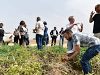 סיור בהובלת עובדי שטראוס ובליווי חקלאים, עובדים, מנהלים ותושבי האזור, מתפוח האדמה שבשדה, ודרך כל שלבי הייצור של מפעל התפוצ'יפס של שטראוס בשער הנגב / צילום: יוסי כהן