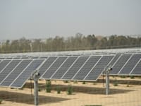 השדות הסולאריים של חברת דוראל / צילום: תמר מצפי