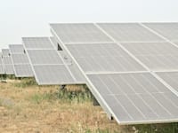 חברת דוראל / צילום: תמר מצפי