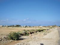 מגרש לפיתוח / צילום: בר אל