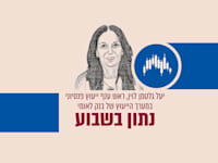 וורן באפט / אילוסטרציה: AI