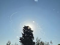 יירוטים / צילום: גלובס