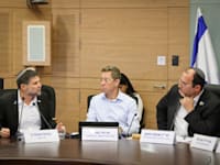 דיון בוועדת החוקה, היום / צילום: נועם מושקוביץ, דוברות הכנסת