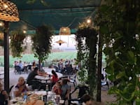 ה–Green Bus. נוף לעמק / צילום: רמי יופה וקשת היידמן