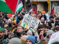 הפגנה פרו-פלסטינית באירלנד / צילום: Shutterstock, LiamMurphyPics