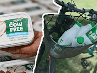 סדרת מוצרי CowFree של שטראוס / צילום: טל אגסי, פלג אלקלעי