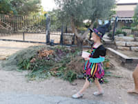 ''ממתק או תעלול'' בישראל. ''ההאלווין 'יעוברת''' / צילום: מיטל שטדלר