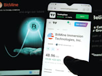 BitMine, שבין משקיעיה גם פיטר ת'יל, צנחה 35% בחודש האחרון / צילום: Reuters, IMAGO/Hanno Bode