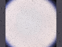 חזית המדע / צילום: Shutterstock