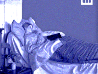 בודקים את המיתוס. האם קור הוא גורם ישיר למחלות / צילום: ציור: מיקל אנקר