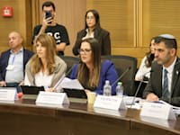 שר התקשורת שלמה קרעי וח''כ גלית דיסטל אטרביאן הדיונים בהוועדה לדיון בהצעת חוק התקשורת היום / צילום: דני שם טוב, דוברות הכנסת