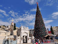 עץ האשוח בכיכר המעיין בנצרת / צילום: יזיד חמיס