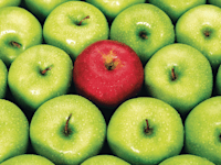 מדד מיתוג מעסיק / צילום: Shutterstock