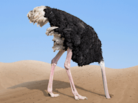 בחזית המדע. FOFO / צילום: Shutterstock