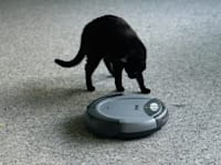 iRobot. חשש ביחס לתפעול האפליקציה / צילום: Reuters, St Petersburg Times