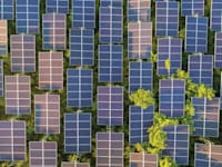 מתקני סולאר / צילום: Shutterstock