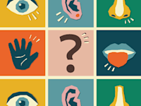 חזית המדע. איך פועל החוש השישי / צילום: Shutterstock