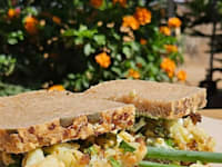 כריך בעגלת הקפה גן עד / צילום: אילון פמיליה