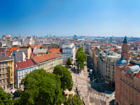 וינה / צילום: Shutterstock