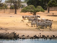 הספארי ברמת גן / צילום: Shutterstock