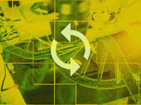 תעשיית הביומד מתאוששת / אילוסטרציה: Shutterstock