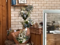 ד''ר פרוסטינג